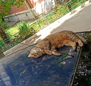 In the summertime