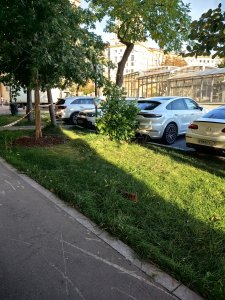 ���� ������������� �����: ������, ��������, ������� ���� � �� ���������� �����������