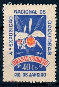 ���� 1946 ��� ������ �����