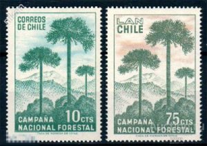 ���� 1967 ����