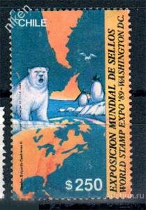 ���� 1989