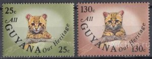 ����� 1985 ���
