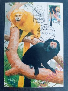�������� 1976 ������������