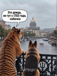 � ����� ������� ��� �����...