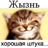 2Ҹ :    , !;)     !