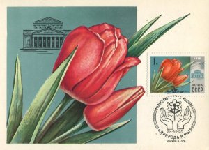   1979   