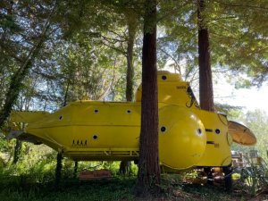  � ����� ��������  ��������  �������� ���, ������� �� ������ ��������� �����. ��� ��������� ������� ��� � ���� ������.  ��� ���������� � ������� ��������-��������, ������� &laquo;�������� ����&raquo; �� ��������. �� ��������� �� ���������� �� ������� ������.  ��� ���������� ���, � ��� ��������� ������� �� ����� ����, � ��� ����� ����� ������������ ����� �������.  ������ ����� �������, ��� ���� ������ � ���� �� ����� ��������� ���������, ������������ � ������ �����: &laquo;� ������ ������ ������ ����� �����, ��� ������� ������ ��������� �����&raquo;. �������� ���� � ����� $20 ���., ��� ���������� ���� ������.